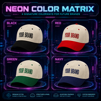 Gorra de Béisbol Personalizada con Logotipo en Placa Metálica, Bordado, Estructurada, de 6 Paneles, Dos Tonos, Cierre a Presión, Venta al Por Mayor, Marca Propia