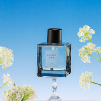 Diffuseur à bâtonnets en verre sans flamme, écologique, longue durée, parfum d'ambiance pour la maison, aromathérapie, logo personnalisé, cadeau, vente en gros