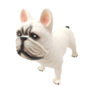 ยางลาเท็กซ์ยางนิ่มเป็นมิตรต่อสิ่งแวดล้อมของเล่นสำหรับเด็กของขวัญสำหรับสุนัขเหมือนจริง - Product Image 6