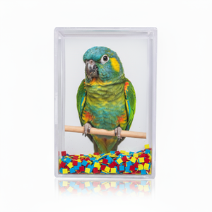 Cadre <span class=keywords><strong>photo</strong></span> flottant en acrylique transparent 2x3 pouces avec paillettes, <span class=keywords><strong>album</strong></span> <span class=keywords><strong>photo</strong></span> personnalisé - Product Image 4