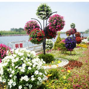 Nouveaux pots de fleurs suspendus décoratifs pour jardin vertical - Product Image 4