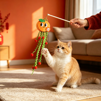 Jouet d'exercice créatif pour chat en feutre et plumes, aux couleurs festives et motifs de dessins animés ; personnalisable pour l'entraînement des chats