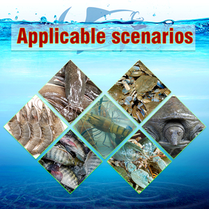 สารเพิ่มการเจริญเติบโตของปลา<span class=keywords><strong>นิล</strong></span>โปรไบโอติกสำหรับปลาดุก - Product Image 4