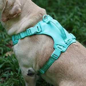 New Fashion Breathable Designer Pet Dog Harness Custom Logo Manufacturers Simple Dog Leash And Harness