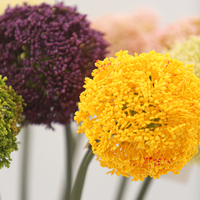 Großhandel Künstliche Chinesische Laternenblumen-Kugeln Allium-Blumen für Heimdekoration Festdekoration und Blumenarrangements