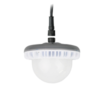 Ampoule LED pour volailles VIKO à intensité variable, douille HT19/E27, solution bicolore, indice de protection IP67, IRC élevé 85, garantie de 3 ans, angle de faisceau de 300°