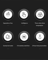 Botella de agua inteligente con logotipo personalizado, termo de acero inoxidable con separación de té, frascos de vacío digitales con pantalla LED de temperatura