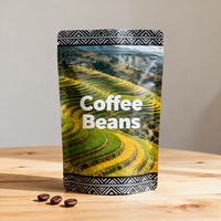 Sachets personnalisés imprimés refermables à fermeture éclair en kraft et Mylar, emballage anti-humidité à soufflet latéral pour café