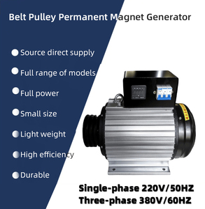 Générateur 3kW 8kW 10kW 15kW 20kW 30kW Monophasé Triphasé 220V 380V Moteur Alternateur CA - Product Image 3