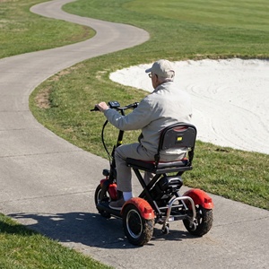Tricycle électrique auto-équilibrant, durable et longue portée avec contrôleur intelligent pour le transport en banlieue et <span class=keywords><strong>sur</strong></span> les terrains de golf - Product Image 5
