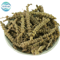 Tiges de fleurs de haute qualité, sélectionnées pour une utilisation traditionnelle et extrait de plantes naturelles, matière première herbacée traitée propre.