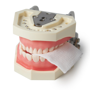 مورد المصنع دليل الأسنان Exodontia المتاح الإسفنج الصانع القطن مليئة المنتج - Product Image 3