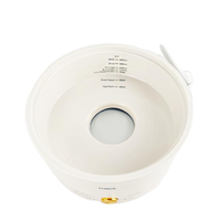 Chine Petite mijoteuse portable 220V Mini soupe électrique à usage multiple avec vapeur d'oeufs