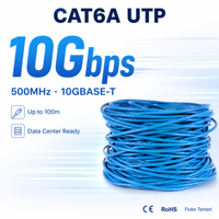 Câble Ethernet en cuivre à conducteur solide Cat6A UTP, 4 paires, 23AWG, 500 MHz, 305 m, marque Shibei, pour le câblage des bureaux et des centres de données