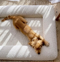 Canapé pour animaux de compagnie Sommeil profond Rectangle Lit Boucle Chien Chenil Pet Chat Lit Canapé