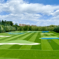 Vente directe usine : Tapis de putting pour le golf, gazon artificiel à rebond naturel, gazon artificiel pour terrains de tennis