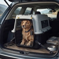 Caisse de transport robuste et portable pour animaux de compagnie, en plastique ventilé, avec fermeture à ressort sécurisée