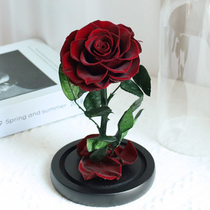 Fleurs Conservées Sous Dôme en Verre avec Tailles Personnalisables, Durables et Idéales pour les Cadeaux lors <span class=keywords><strong>de</strong></span> Toutes les Occasions - Product Image 1