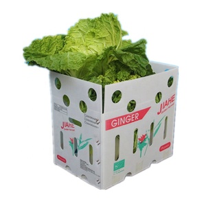 Customized quality cheat plastic vegetable PP hollow box corrugated board sheet coroplast packing case turnover box