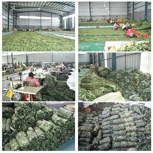 Filet de <span class=keywords><strong>camouflage</strong></span>, voiles d'<span class=keywords><strong>ombrage</strong></span> carrées en polyester stabilisé aux UV, 320 g/m², <span class=keywords><strong>ombrage</strong></span> de jardin, extérieur, idéal pour le camping, la cour, la chasse - Product Image 5