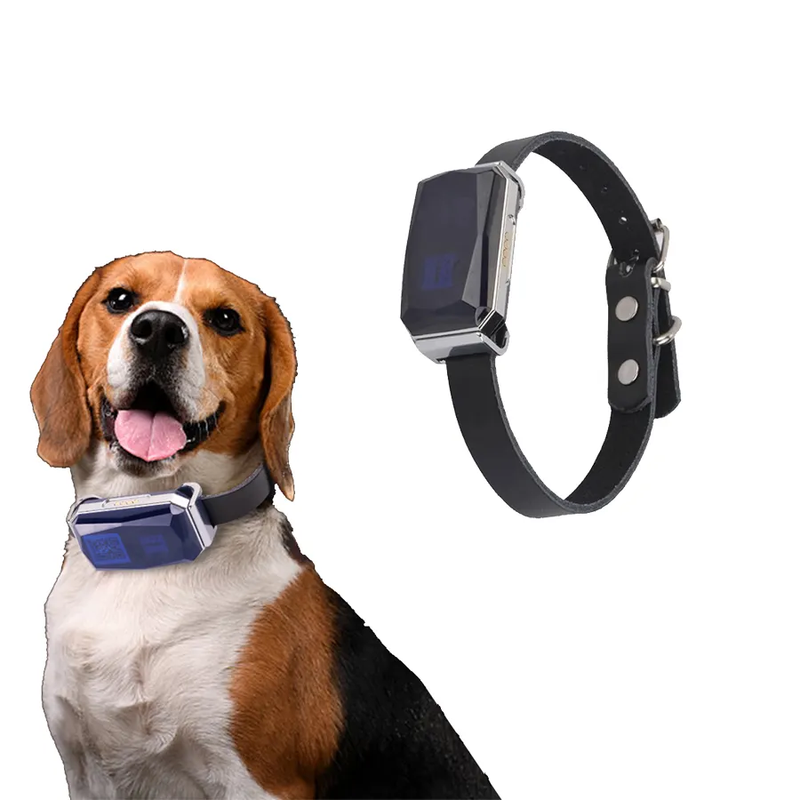 Vuelos en tiempo real mini impermeable inalámbrica wifi gps mascotas localizador para perros/gatos/animales Perro Rastreador de mascotas más pequeño gps collar de perro