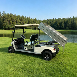 Voitures de golf électriques personnalisées, 2 places, véhicule chinois pas cher - Product Image 3
