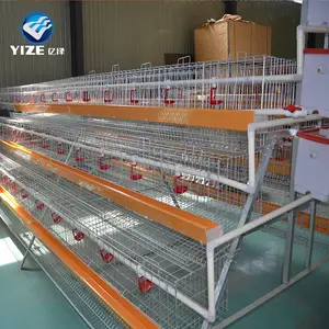 Cages de poulet entièrement automatiques, vente pour volaille à dubaï