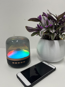 Hiện Đại Thiết Kế Mới Không Dây RGB Bass Con Thú Loa Với Đèn LED Ánh Sáng Aux Và TWS Cho Đi Bộ Đường Dài Ngoài Trời Thể Thao Trong Nhà Bên - Product Image 2