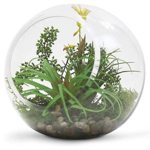 Slant Cut Bowl Glasvase, klare runde Globe Planter <span class=keywords><strong>Terrarium</strong></span> Kugel, Blumen behälter für Home Office Dekor umwelt freundlich - Product Image 4