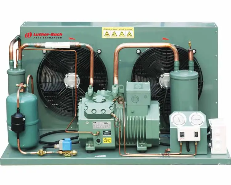 Unité de condensation de congélateur de réfrigération de compresseur à basse température refroidie par BITZERAir pour la chambre froide (R404/R507)