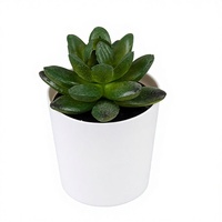 Mini plante succulente artificielle en pot, fleur en PVC givré, style pierre précieuse, bonsaï écologique et durable pour mariage, Noël, Nouvel An