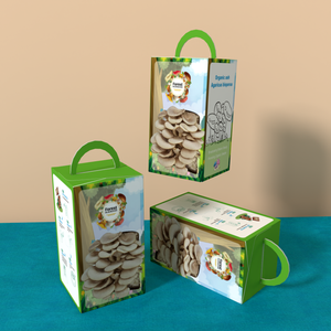 Boîte d'emballage en carton ondulé pour kit <span class=keywords><strong>de</strong></span> culture <span class=keywords><strong>de</strong></span> champignons, boîtes en papier pour la culture <span class=keywords><strong>de</strong></span> champignons d'huître biologiques - Product Image 3