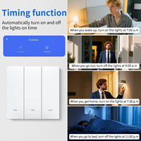 Interruptor de Pared Táctil Inteligente WiFi RF433 Hz con Control Remoto, Compatible con Alexa, Función de Temporizador, Botón Pulsador de 2 Vías