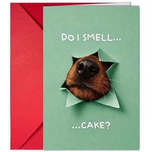 Acquisto Diretto Transfrontaliero: Biglietti d'<span class=keywords><strong>Auguri</strong></span> di Buon <span class=keywords><strong>Compleanno</strong></span> con Buste, Biglietti Carini e Divertenti per Inviare <span class=keywords><strong>Auguri</strong></span> e Messaggi - Product Image 2