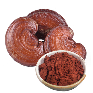 Ekstrak Herbal Alami Bubuk Ekstrak Spora Reishi Bubuk Spora Lingzhi Asli Ekstrak Spora Ganoderma Lucidum Kering Liar - Product Image 2