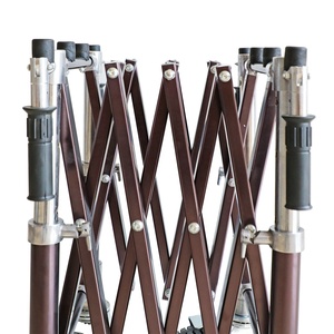 <span class=keywords><strong>THR</strong></span>-CTF04 prodotti funerari fornitura in lega di alluminio chiesa camion marrone bara carrello - Product Image 5