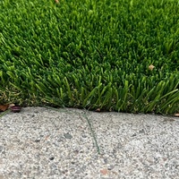 Herbe fraîche pour animaux de compagnie pour chats et chiens pelouse synthétique en gazon naturel pour jardin décoratif extérieur