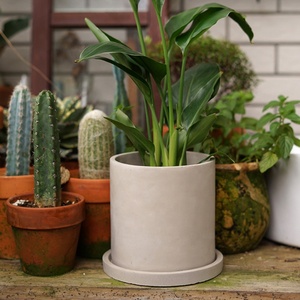 Piantatrice a cilindro tondo <span class=keywords><strong>in</strong></span> <span class=keywords><strong>cemento</strong></span> semplice personalizzata con vassoio per piante da giardino Decorative per interni ed esterni - Product Image 3