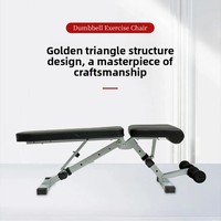 Banc de musculation multifonctionnel réglable, équipement de musculation pour la salle de sport, chaise de fitness pliable pour la maison, métal, acier inoxydable