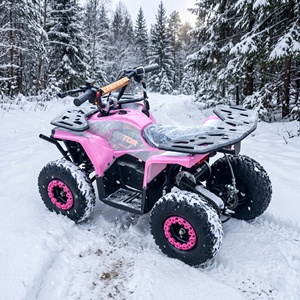 Liquidation à prix réduit : <span class=keywords><strong>Quad</strong></span> électrique 48V 1000W avec batterie au plomb 12AH et pneus tubeless de <span class=keywords><strong>6</strong></span> <span class=keywords><strong>pouces</strong></span> – Vente directe usine - Product Image 1