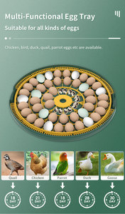 2024 Hhd Best-seller 52 Incubadora de <span class=keywords><strong>huevos</strong></span> para <span class=keywords><strong>huevos</strong></span> de pájaros pequeños Máquina para incubar Ingredientes de envío gratis - Product Image 5