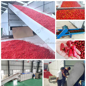 Continúa la correa de malla de túnel secador de especias deshidratador de albahaca máquina de secado de nuez moscada máquina de secado de pimienta anís estrella - Product Image 4