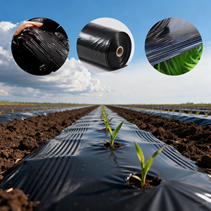 فيلم تغطية زراعي من البولي إيثيلين منخفض الكثافة (LDPE) بلون أسود، مصنوع بتقنية النفخ، ذو عمر خدمة طويل لزراعة الحدائق والزهور. - Product Image 1