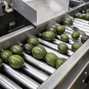 Máquina Clasificadora Automática Comercial de Frutas y Verduras para Aguacate, Tomate, Manzana, Mango, Melón, Patata - Product Image 3