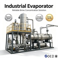 Evaporador Circulante Multiefecto Automático PLC para Concentración de Sorbitol, Maltitol y Alcohol de Azúcar, Acero Inoxidable SS304, Certificado CE ISO