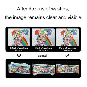 Pegamento adhesivo de fusión en caliente de poliéster <span class=keywords><strong>PES</strong></span>, polvo DTF de transferencia de calor para papel DTF - Product Image 3