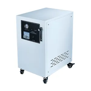 Concentratore di ossigeno portatile 10L generatore di ossigeno PSA generatore di concentratore di ossigeno medico