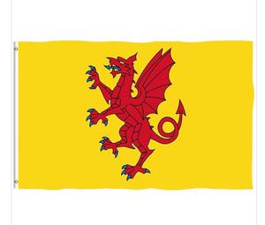 Drapeau <span class=keywords><strong>de</strong></span> <span class=keywords><strong>l</strong></span>'île <span class=keywords><strong>de</strong></span> Pitcairn, drapeau extérieur personnalisé 3x5 pieds, bannière imprimée simple face, design personnalisé, drapeau <span class=keywords><strong>de</strong></span> bienvenue pour la cour - Product Image 5