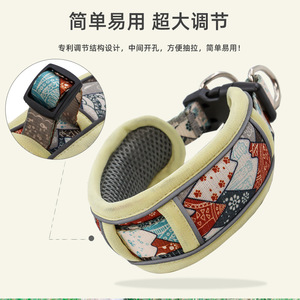 Collier rembourré pour chien imprimé en mousse, grande taille, pour l'entraînement et les sorties, avec laisse tendance - Product Image 3