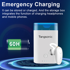 Apparecchi Acustici Medici Premium TS611 a 16 Canali per Anziani, Vendita Diretta dal Produttore, Prezzo Competitivo all'Ingrosso - Product Image 5